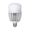 10810 Volpe | Лампа светодиодная LED-M80-30W/WW/E27/FR/S картон