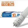 1509 IONICH | Лампа светодиодная ILED-SMD2835 T8 600-10-1100-220-4-G13