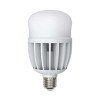 10811 Uniel | Лампа светодиодная LED-M80-30W/NW/E27/FR/S