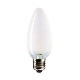 8109020 Favor | Лампа накаливания ДСМТ 230-60Вт E27 (100)