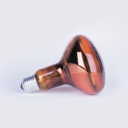8105041 КЭЛЗ | Лампа-термоизлучатель ИКЗК 230-60Вт R63 E27 (50)