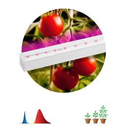 Б0045232 Эра | Светильник светодиодный для растений FITO-14W-Т5-N 14Вт 220-240В линейный для периода вегетации фиолет. свечение