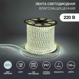 142-703 Neon-Night | Лента светодиодная SMD5730 6.5x17мм 120LED/м 220В IP67 бел. (уп.100м)