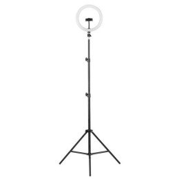 13010 Camelion | Светильник светодиодный KD-810F C02 10Вт напольный кольцевая подставка для смартфона на штативе черн.