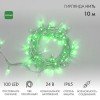 305-154 Neon-Night | Гирлянда светодиодная "Нить" 10м 100LED зел. 8Вт 24В IP65 постоян. свечение провод ПВХ прозр.