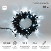 305-145 Neon-Night | Гирлянда светодиодная "Нить" 10м 100LED бел. 12Вт 24В IP65 постоян. свечение провод ПВХ черн.