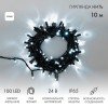 305-245 Neon-Night | Гирлянда светодиодная "Нить" 10м 100LED бел. 12Вт 24В IP65 эффект мерцания провод ПВХ черн.