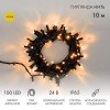 305-241 Neon-Night | Гирлянда светодиодная "Нить" 10м 100LED желт. 12Вт 24В IP65 эффект мерцания провод ПВХ черн.