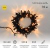 305-171 Neon-Night | Гирлянда светодиодная "Нить" 10м 100LED желт. 10Вт 230В IP65 постоян. свечение провод ПВХ черн. (нужен шнур питания 303-500)