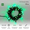 305-144 Neon-Night | Гирлянда светодиодная "Нить" 10м 100LED зел. 12Вт 24В IP65 постоян. свечение провод ПВХ черн.