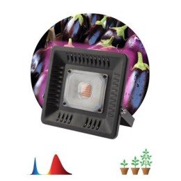 Б0039033 Эра | Прожектор светодиодный для растений FITO-50W-LED BLUERED 50Вт IP65 220-240В -30град. до + 45град. 30000ч для цветения и плодоношения красно-синего спектра

